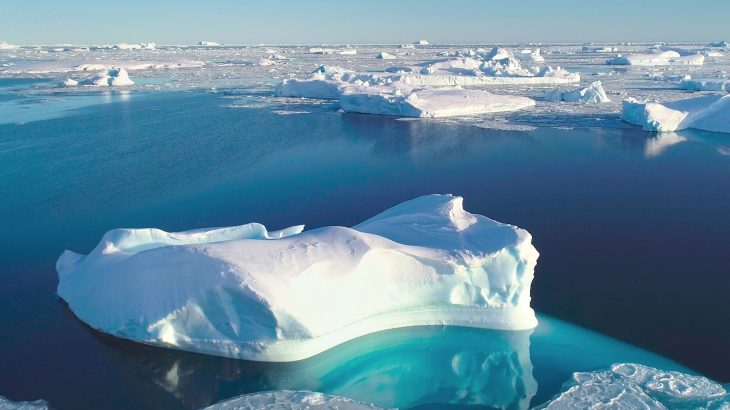 Mosquitoes have been confirmed in Iceland for the first time