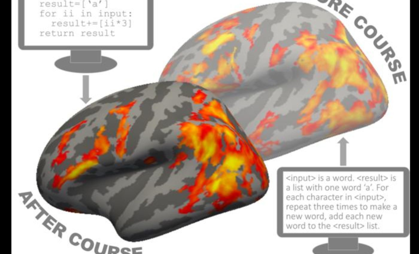 Our brains are wired to learn computer code