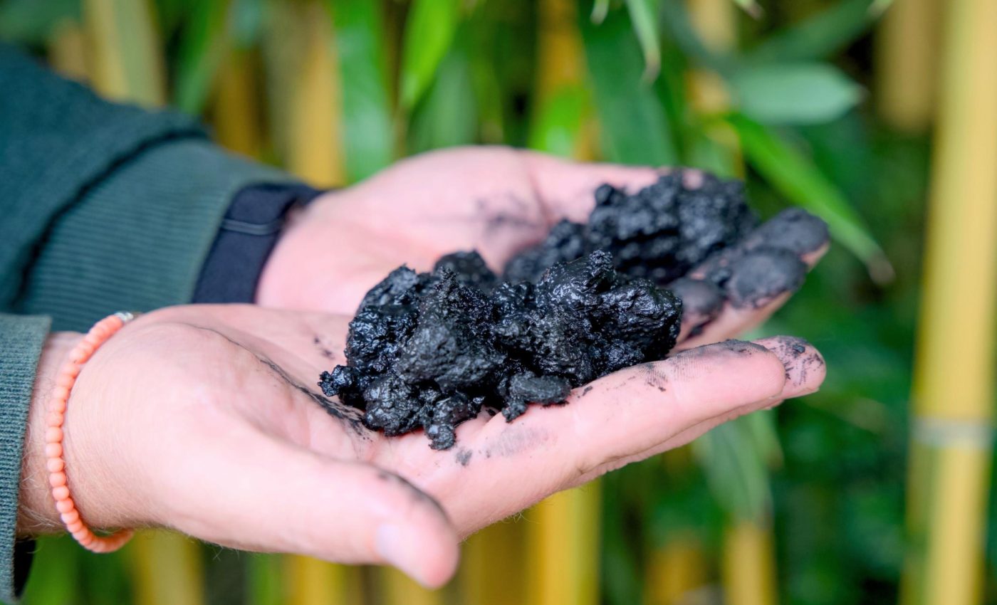 Rinsing biochar can ruin its ability to clean toxic lead from water
