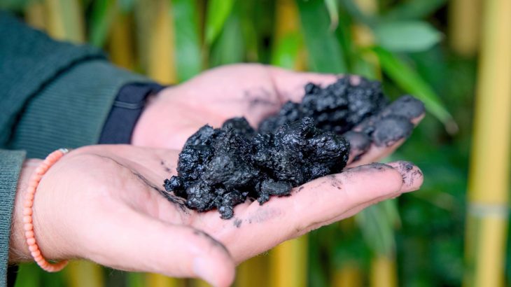 Rinsing biochar can ruin its ability to clean toxic lead from water