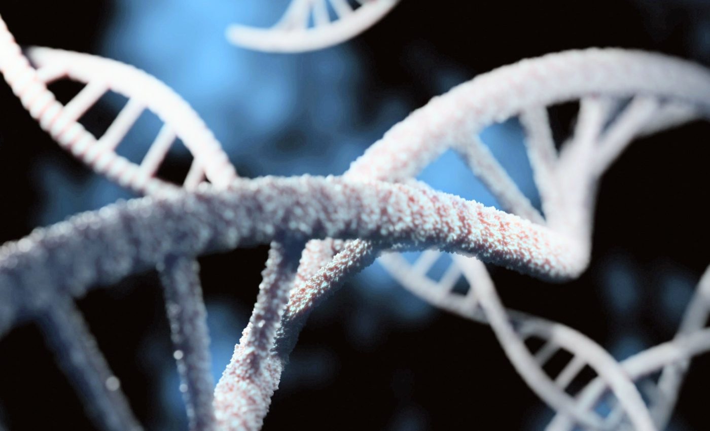 Ancient DNA reveals how far Neanderthals roamed across Eurasia