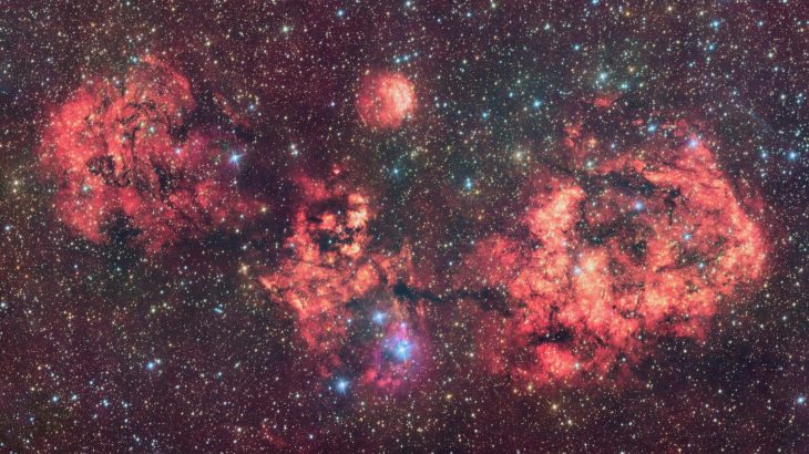 Halloween visitor: Ghostly bat nebula haunts the southern sky