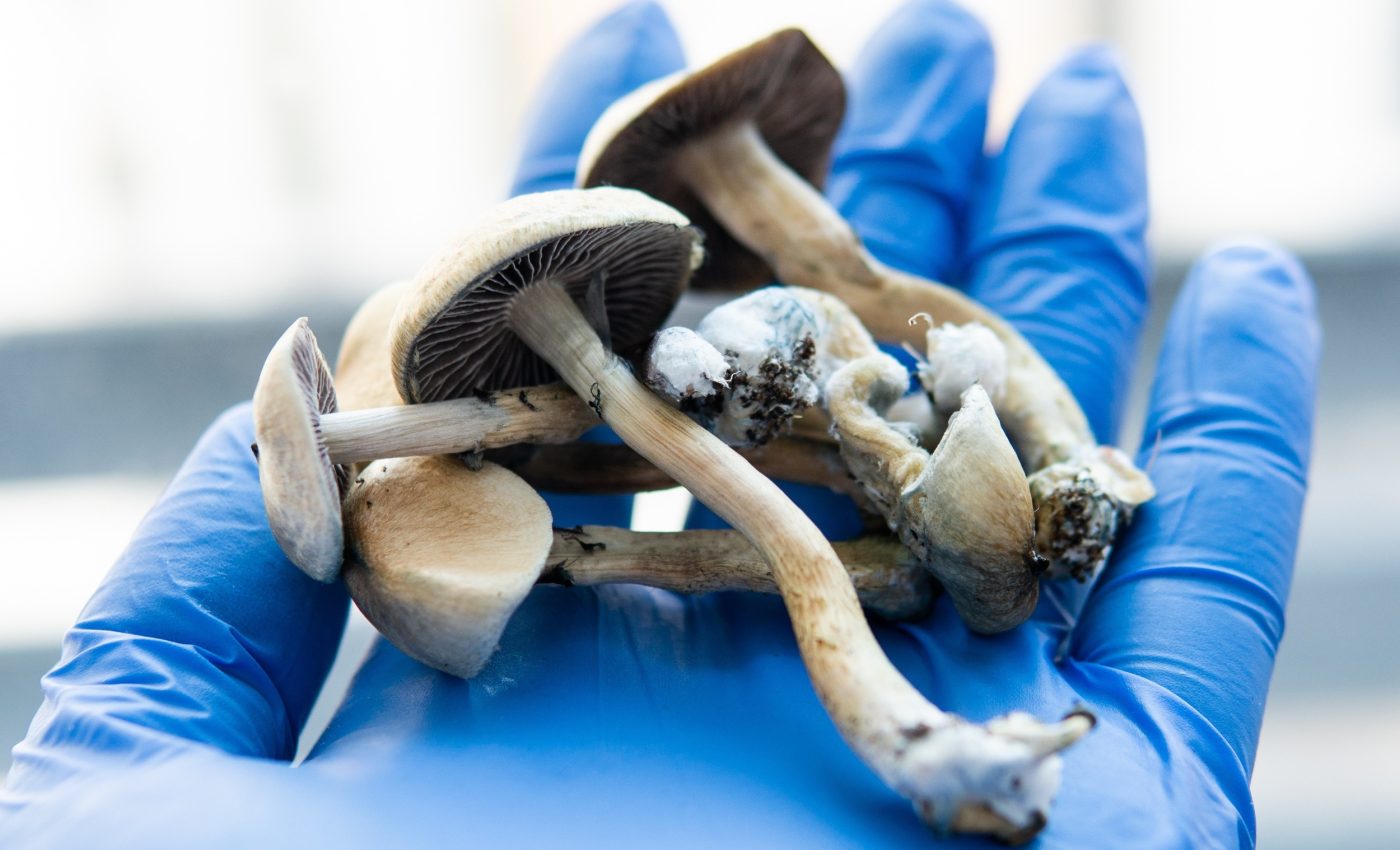 Psilocybin therapy may ease fear and depression in cancer patients