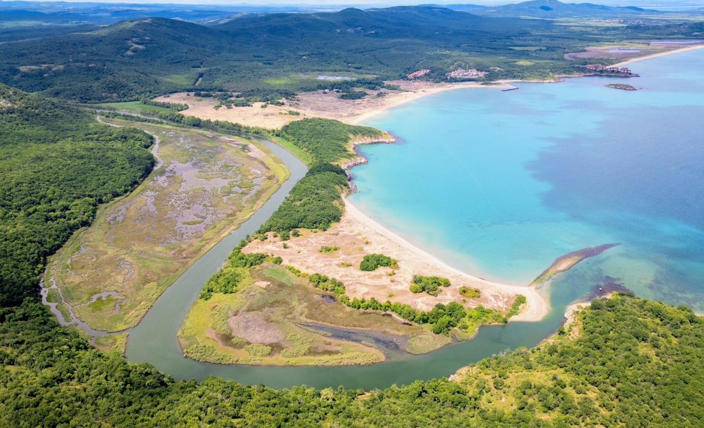 Wetlands quietly clean up pollution - and save communities millions