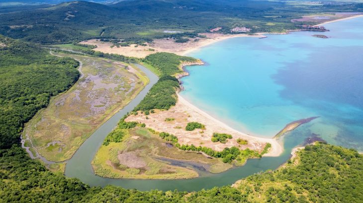 Wetlands quietly clean up pollution - and save communities millions