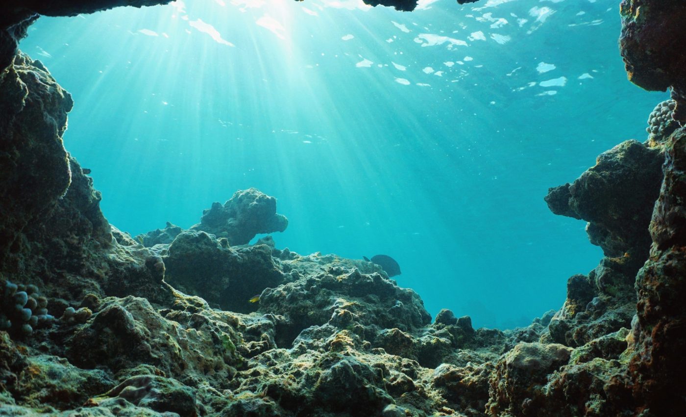 How ocean microbes are secretly contributing to global warming