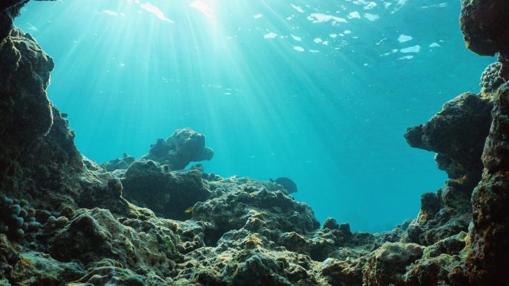 How ocean microbes are secretly contributing to global warming