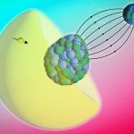 2025/11/radium-atom_pear-shaped-nucleus_MIT_1m.jpg