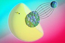 2025/11/radium-atom_pear-shaped-nucleus_MIT_1m.jpg