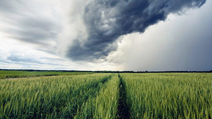 How a silver crystal can turn clouds into rain