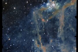 Euclid captures a hidden nursery of stars in Orion’s dark cloud