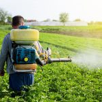 2025/11/Pesticides-infertility.jpg