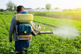 2025/11/Pesticides-infertility.jpg