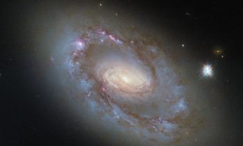 2025/11/NGC-41022-1.jpg