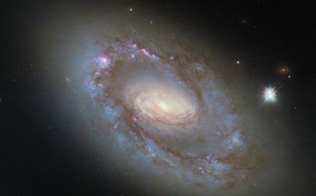 2025/11/NGC-41022-1.jpg