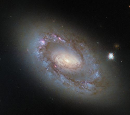2025/11/NGC-41022-1.jpg