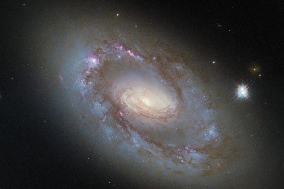Spiral galaxy in the Great Bear hides a monster within