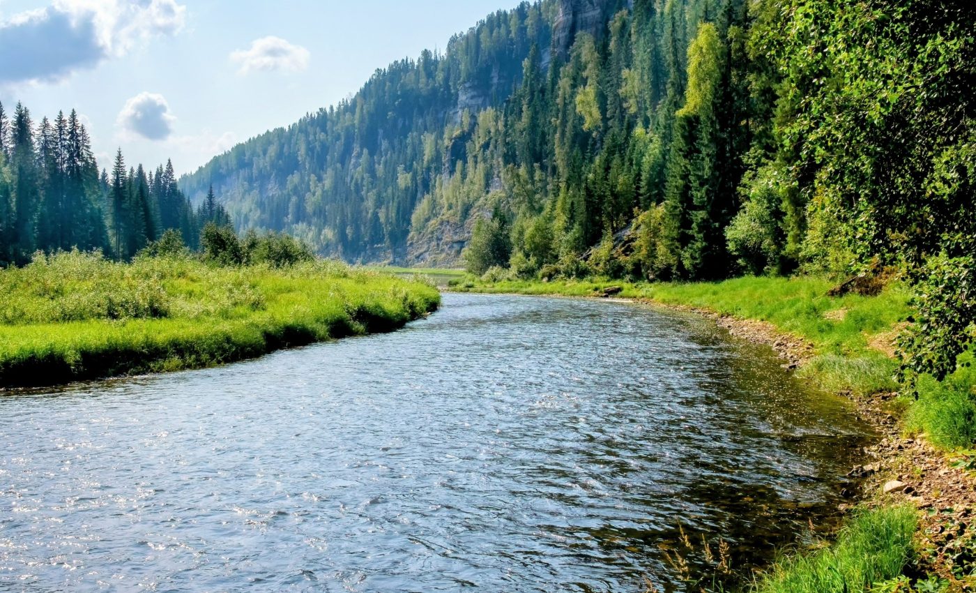 Some rivers are soaking up carbon instead of releasing it