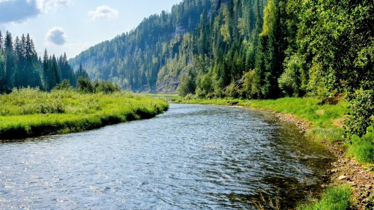 Some rivers are soaking up carbon instead of releasing it