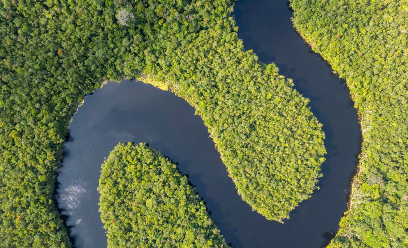 Human disturbance has caused a diversity crisis in the Amazon