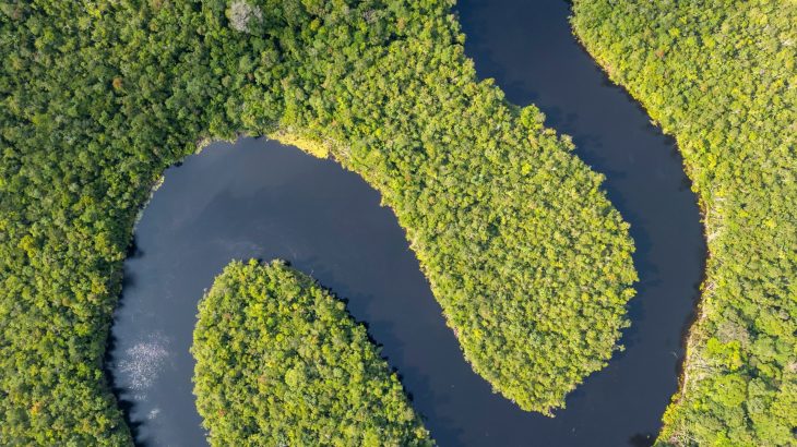 Human disturbance has caused a diversity crisis in the Amazon