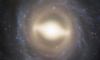 2025/11/NGC-1015.jpg
