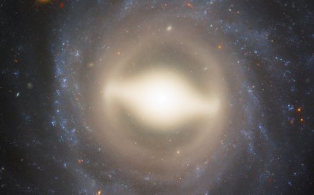 2025/11/NGC-1015.jpg
