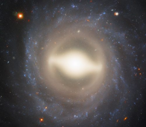 2025/11/NGC-1015.jpg