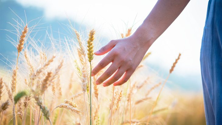 Scientists confirm humans have a remarkable 'seventh sense' ability of remote touch