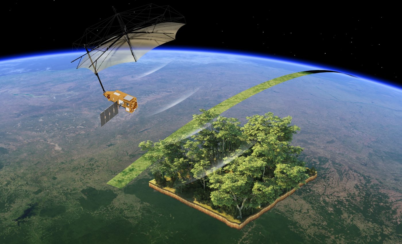 Satellites reveal why the Amazon forest is struggling to store carbon