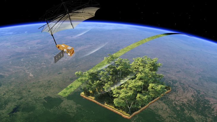 Satellites reveal why the Amazon rainforest is struggling to store carbon