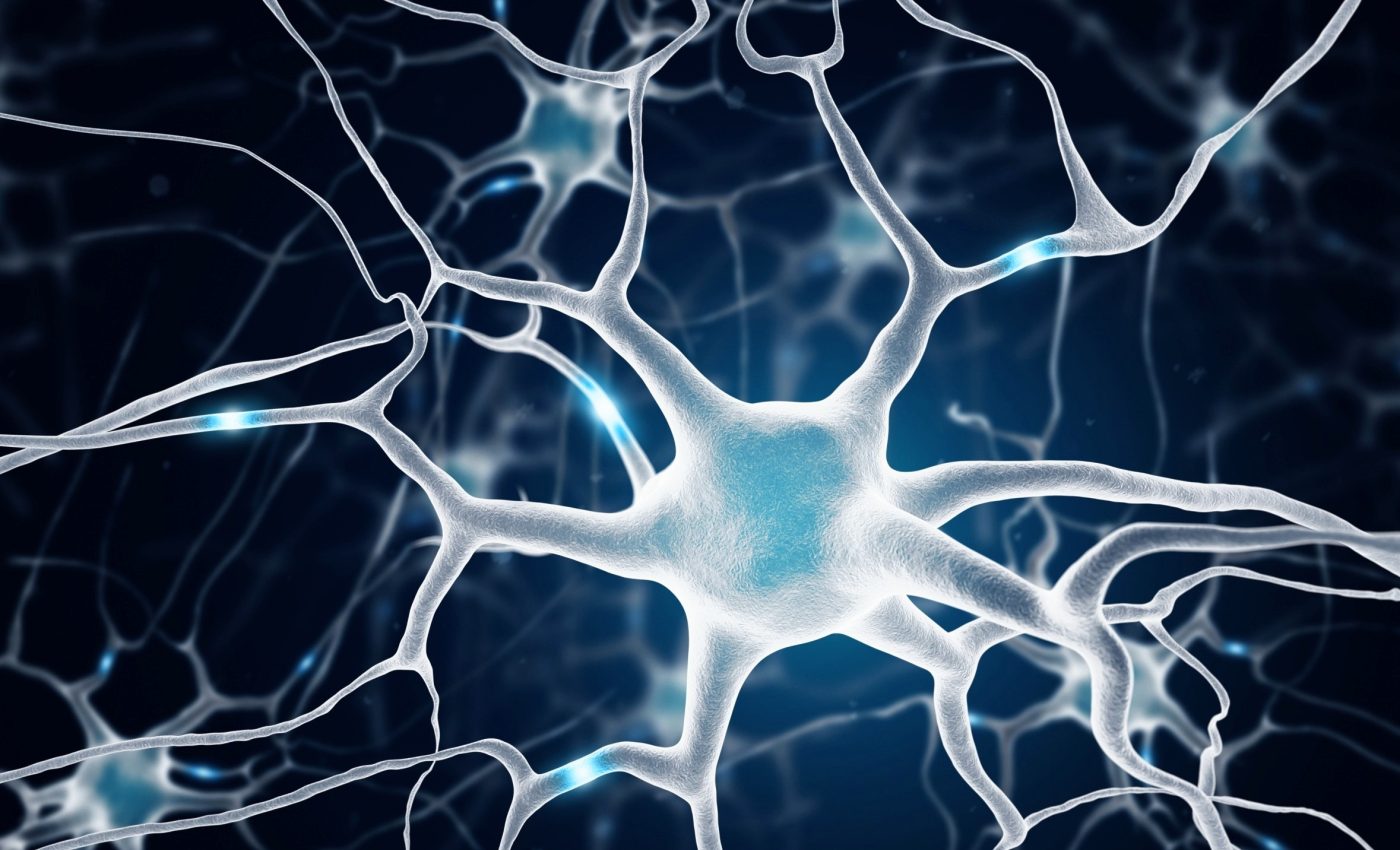 Self-repair switch in the brain may help reverse memory loss