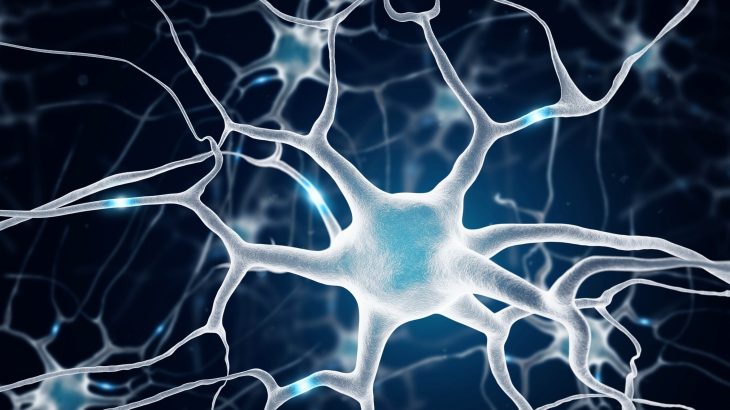 Self-repair switch in the brain may help reverse memory loss