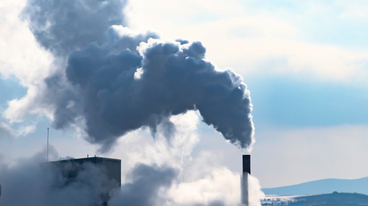 COP30 warning: Countries are leaning on forests instead of cutting fossil fuels