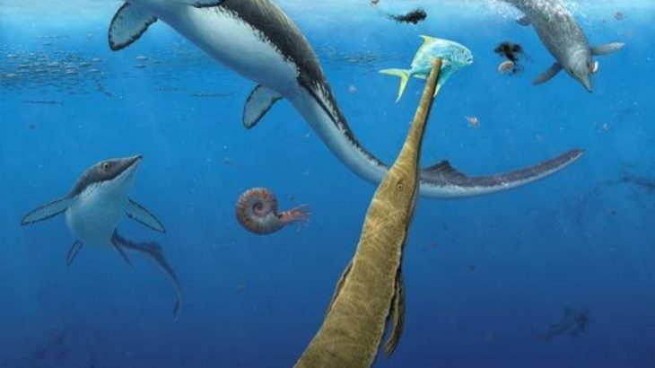 Ocean life rebounded quickly after Earth’s worst extinction event