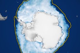 Antarctic sea ice hits one of its lowest winter peaks on record
