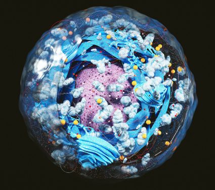 Structure,Of,Human,Cell,,Anatomy,Of,Cell,,Cellular,Environment,,Cellular