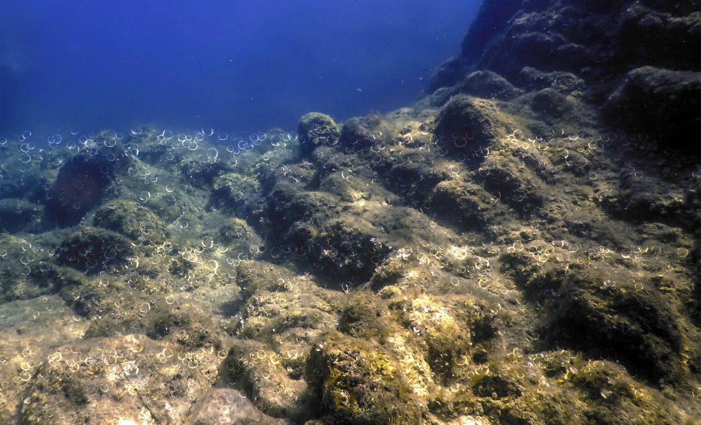 Discovery in the deep ocean defies current human knowledge