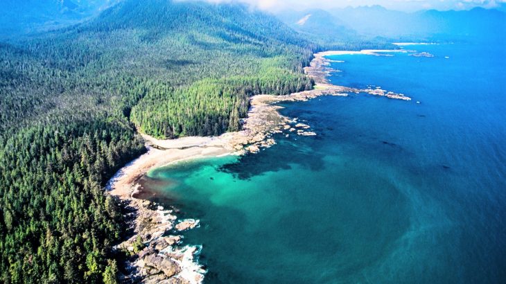 Coastal waters are acidifying much faster than scientists expected