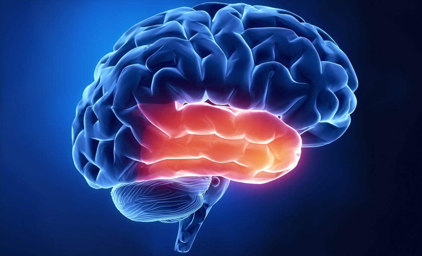 Your brain slices speech into words faster than you blink