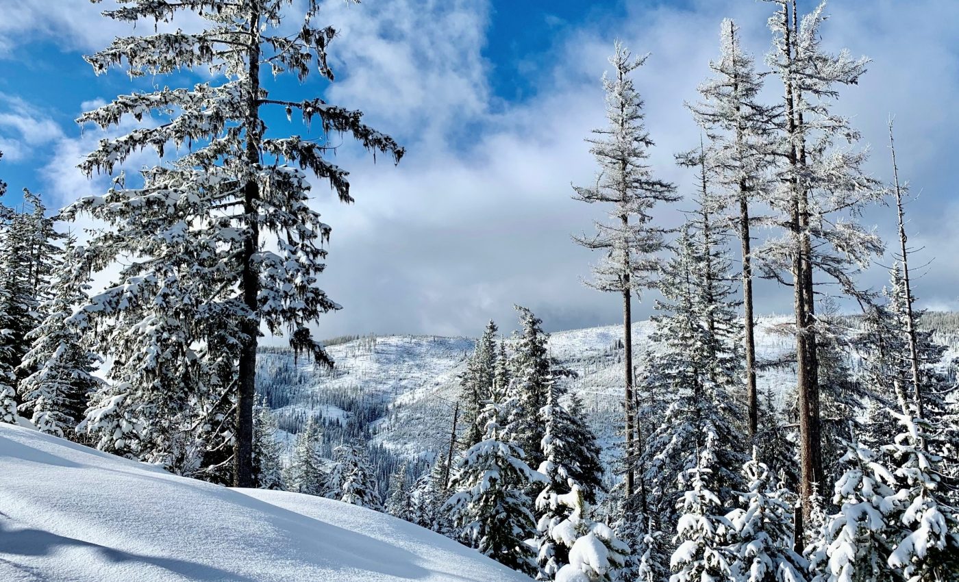 Snowfall pattern discovered that could change forecasting forever