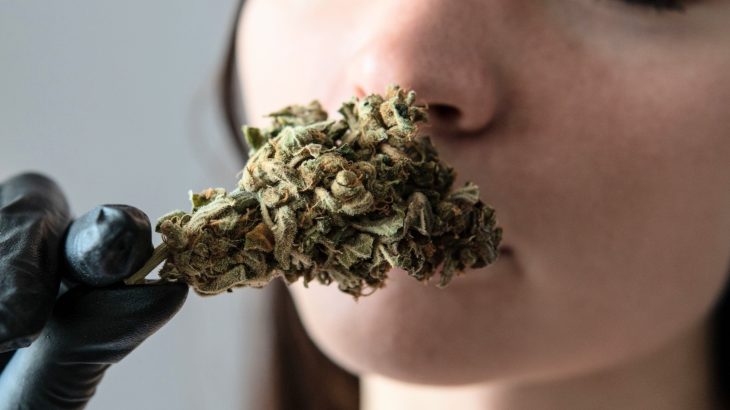 Smell beats strength in predicting what cannabis people choose