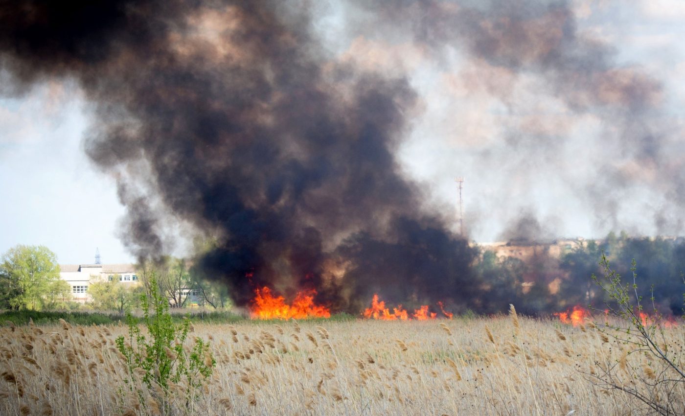 Wildfires raged on after Earth's worst mass extinction