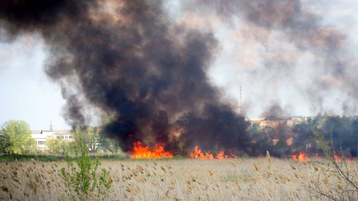 Wildfires raged on after Earth's worst mass extinction