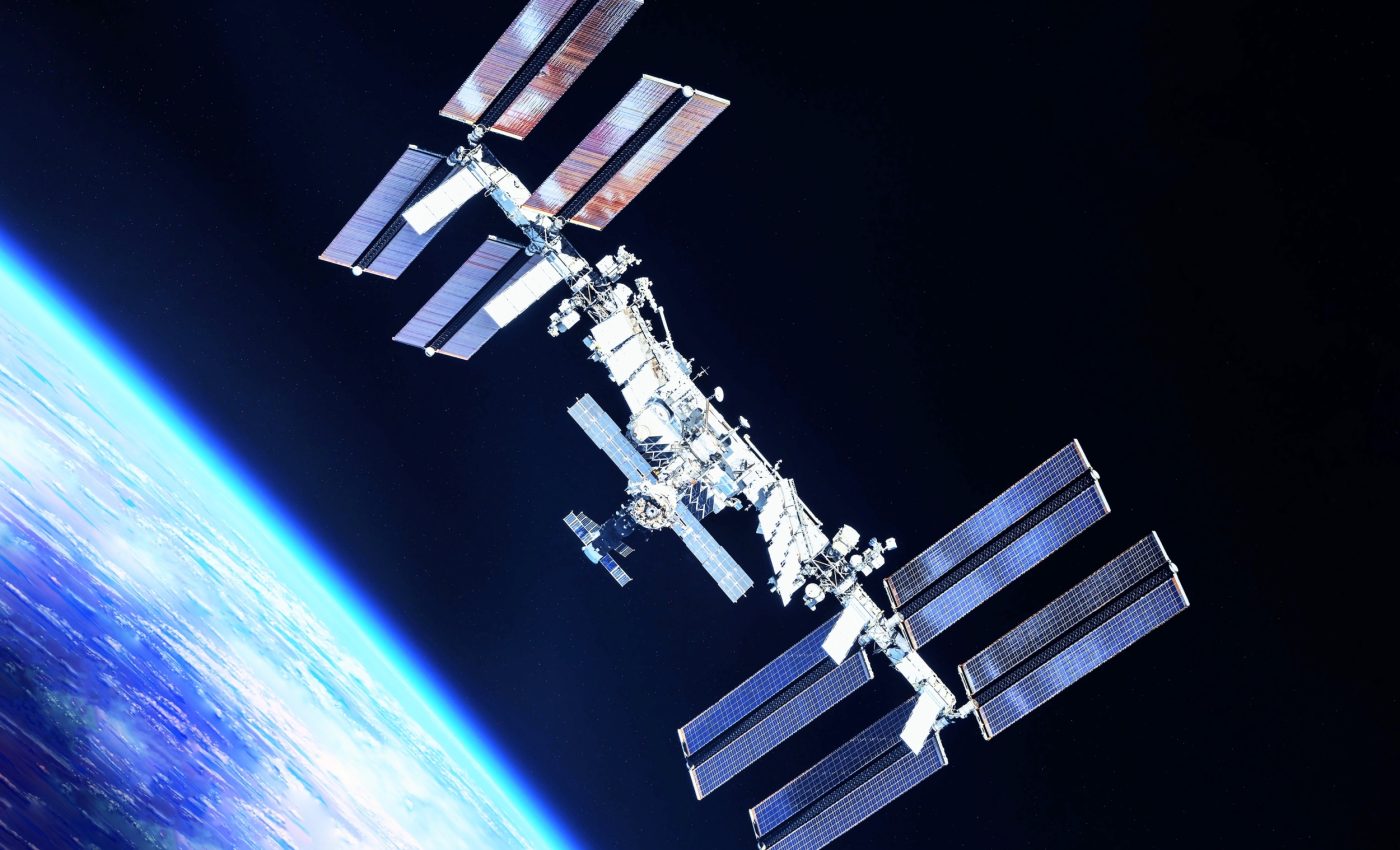 Earth’s most rugged plant just proved its resilience in space