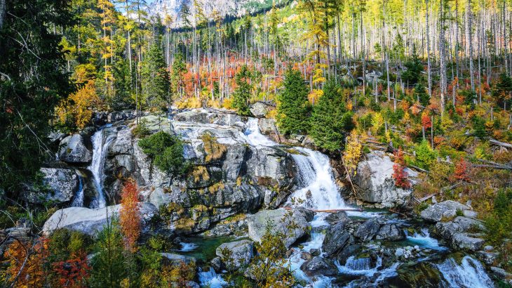 Scientists trace the origin of water streams at the top of mountains