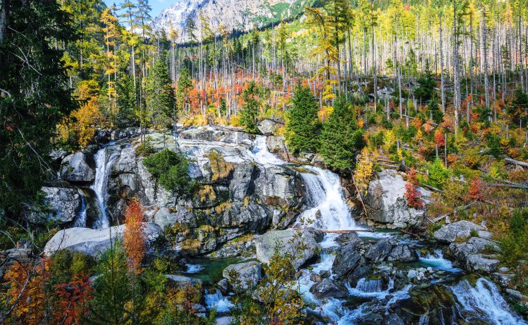 Scientists trace the origin of water streams at the top of mountains