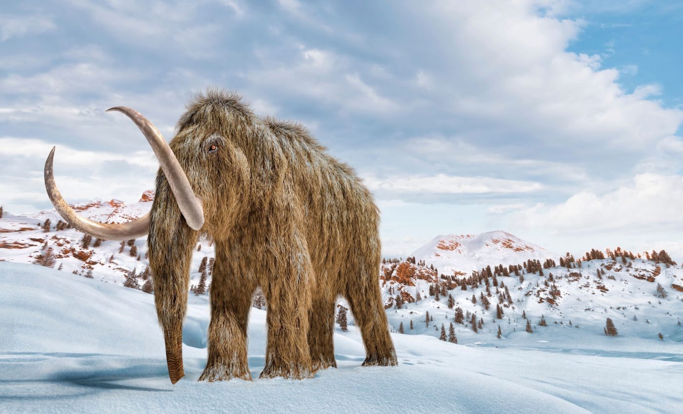 Oldest microbial DNA ever seen was found in a 1-million-year-old mammoth