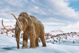 2025/11/mammoth-siberia-oldest-microbial-dna.jpg