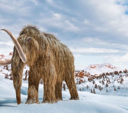 2025/11/mammoth-siberia-oldest-microbial-dna.jpg